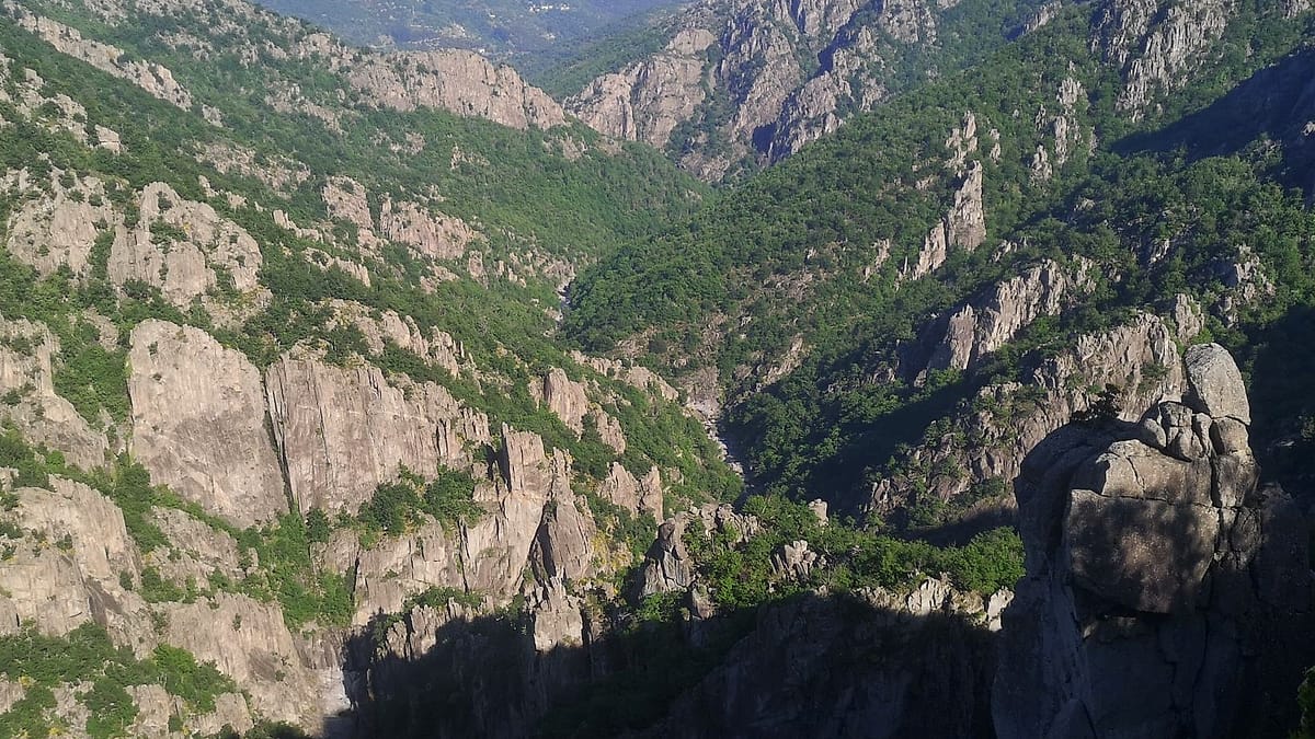 Paysage autour de l’exploitation — Chanvre des Cévennes, Occitanie