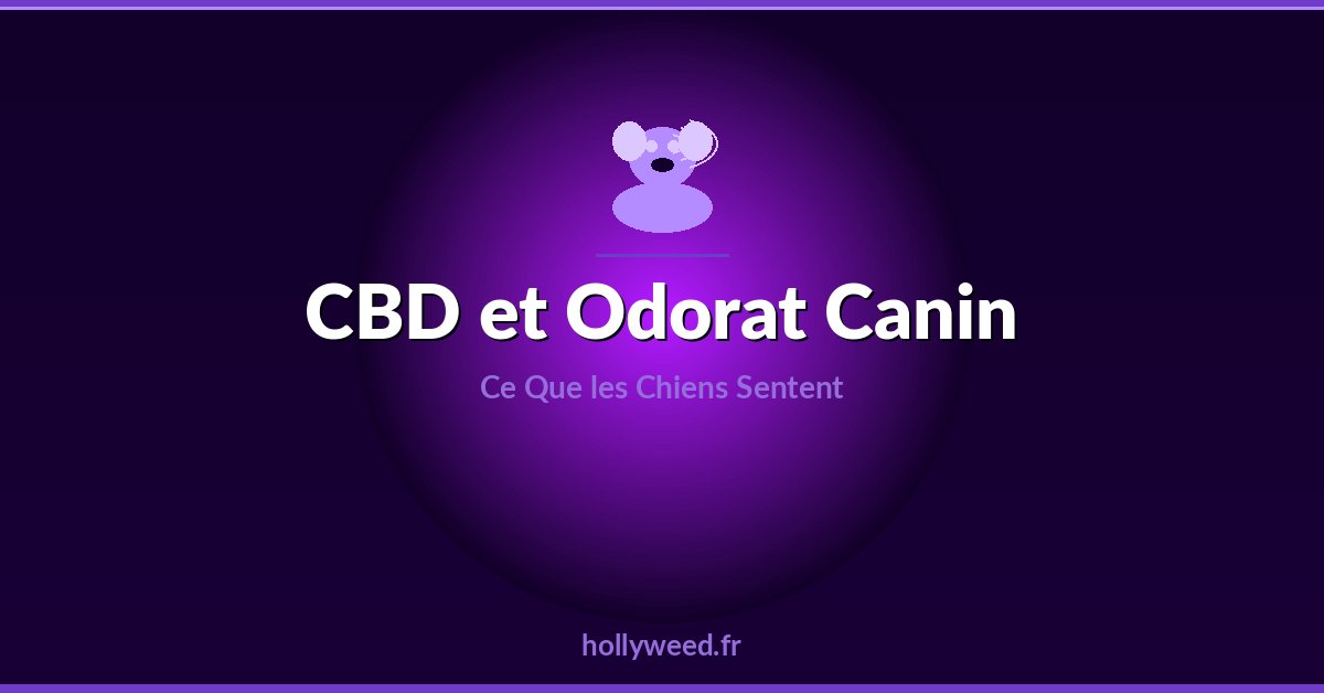 CBD et odorat canin detection du cannabidiol