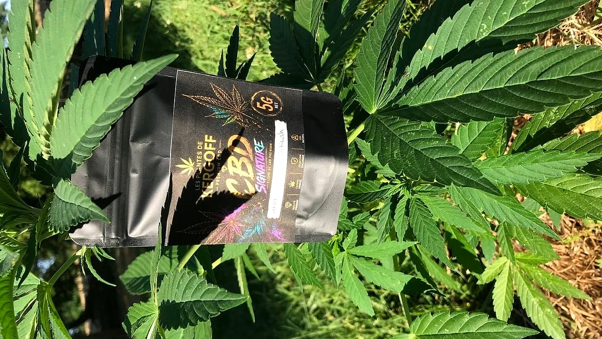 Produits au chanvre — Les plantes de Kergoff, Bretagne