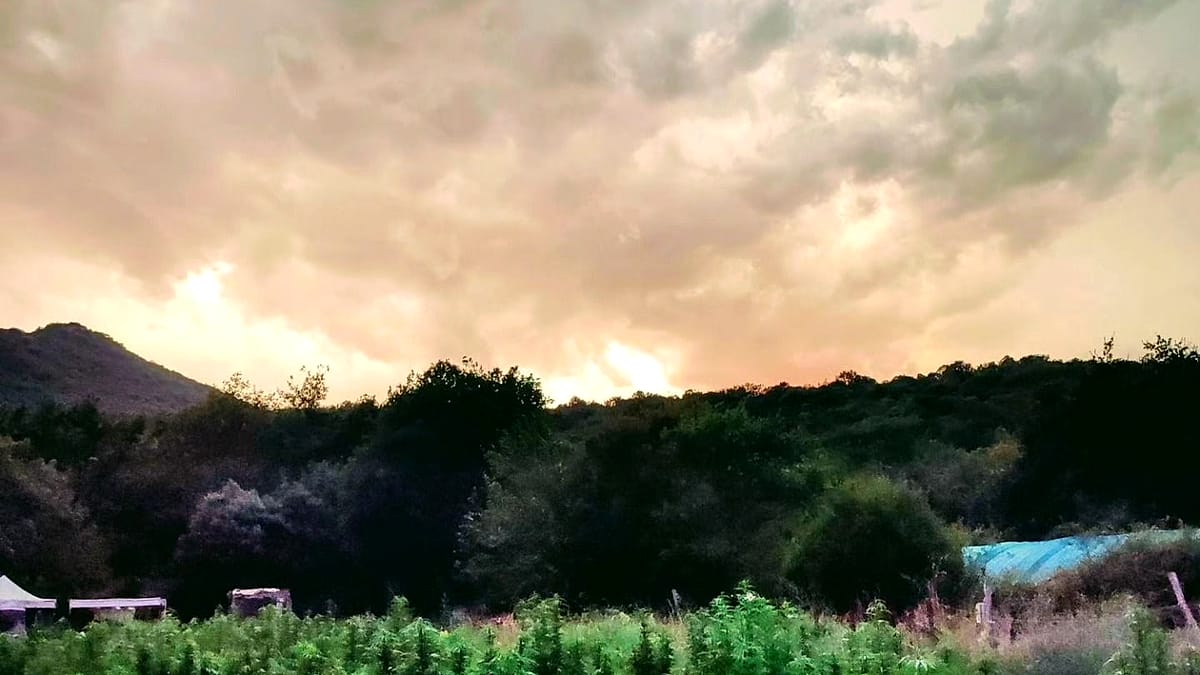 Paysage autour de l’exploitation — Fleur des Cévennes, Auvergne-Rhône-Alpes