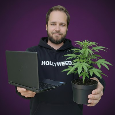Portrait de Benjamin Farsang, fondateur et CEO de Hollyweed